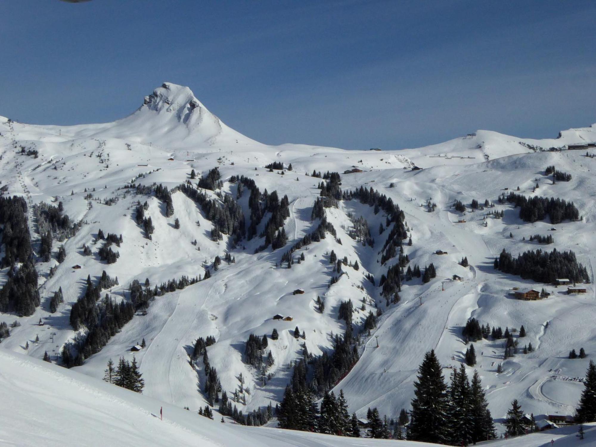 Das Alpine Lifestyle Berghotel Madlener Damuels Exterior photo